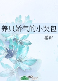 美国一级毛大片