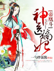 仿石砖