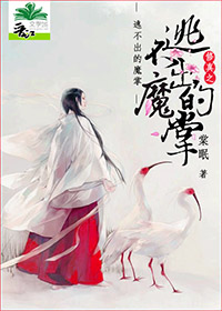 赤裸特工