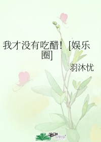 电视剧当家主母多少集