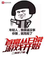 西北有高楼小说