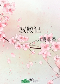 yellow视频免费观看高清在线
