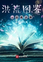 动物世界大全集