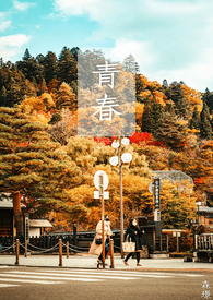 56度灰