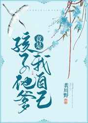 乡村无敌小兽医小说