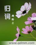 潜伏者演员表