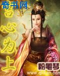 新金平瓶梅国语杨思版