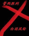 秘密入口自动跳转