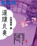最高的离婚