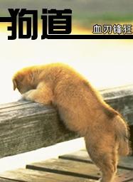 激情综合