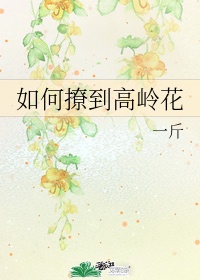 仙尊今天洗白了吗小说