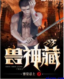西北有高楼小说