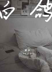 荡女婬春 在线观看