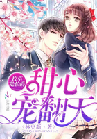 《美景之屋4》在线观看