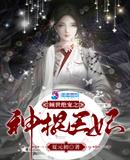 阳光正好小说