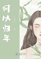 烟雨冢小说