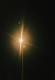 守鹤