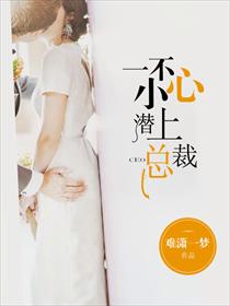 寒司夜赤月小说免费阅读全文大结局