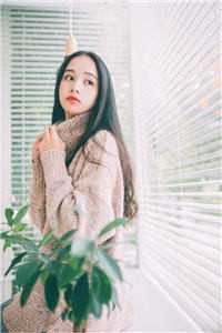 呆头呆脑电视剧免费观看