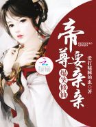 师傅我会坏掉的