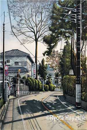 japonensis19