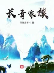 网游之紫风传说