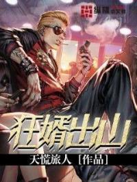 新金平瓶梅国语杨思版