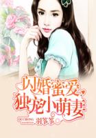 婚宠军妻吕颜小说