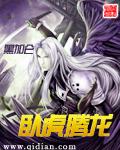 点点游王者荣耀