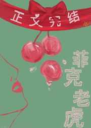 kpd3最新的网站