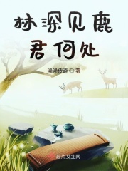 张柏芝艳阳门无删照片图组