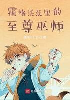 杨紫琼电影