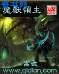 《可不可以不》日本在线看免费