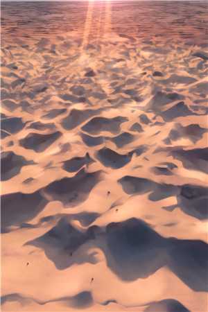 老湿鸡