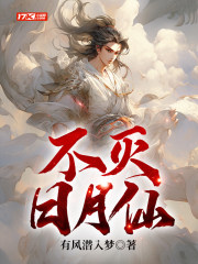 忍风战队破里剑者