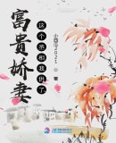 三毛流浪记动画片