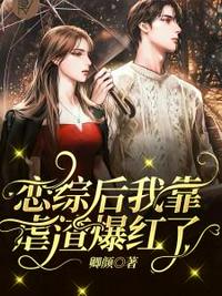 快手永久粉丝软件