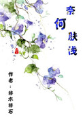 风流村长小说全集