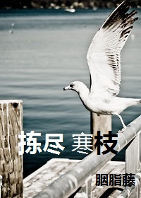 chinese91