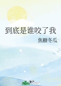 清歌一片小说
