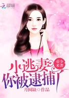 melissalauren种子