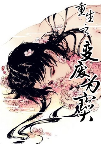猫咪官网在线观看