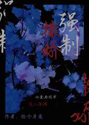 chinese mom中国老妈