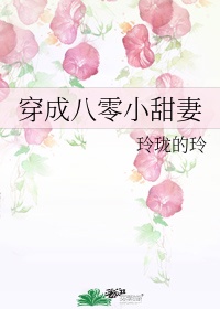 菠萝蜜app视频观看