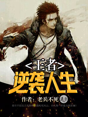 yazi网站