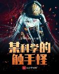 仪琳师妹