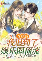 东奔西顾