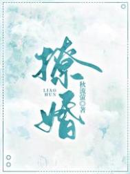 以爱为营小说全文免费阅读