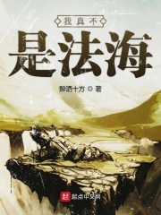 西北有高楼小说