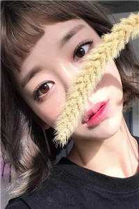 一脱成名小说